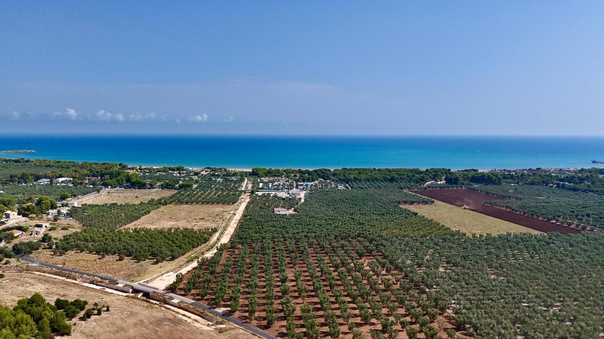 Villa Amica Vieste Exterior foto